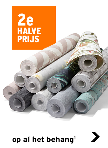 2e halve rpijs op al het behang