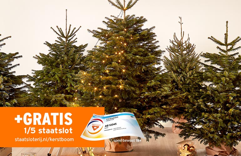 Nordmann kerstbomen met 1/5 gratis staatslot