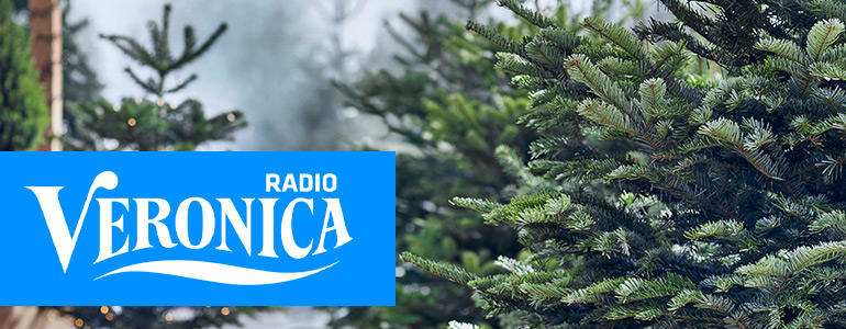 Win een kerstboom bij Radio Veronica