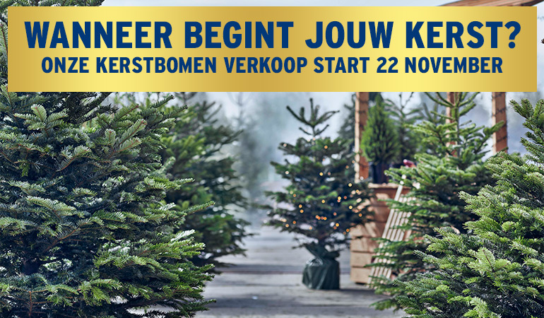 Wanneer begint jouw kerst? Onze kerstbomen verkoop start 22 november